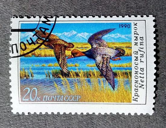 Марка СССР 1990 год Утки