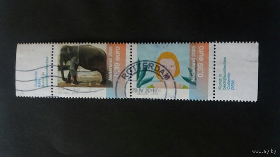 Нидерланды   2005 2м сц. слон