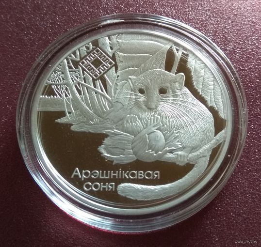 Заказник "Свитязянский". Орешниковая соня. 1 рубль