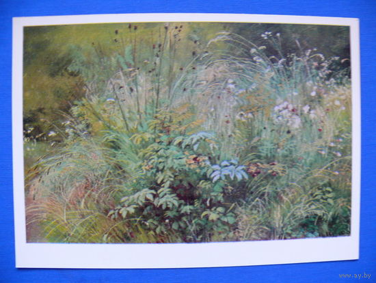 Шишкин И. И., Травки (этюд).