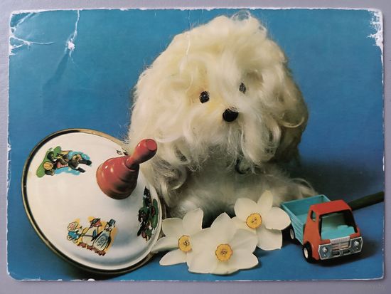 С Днём рождения! Открытка двойная, чистая, 1981г.