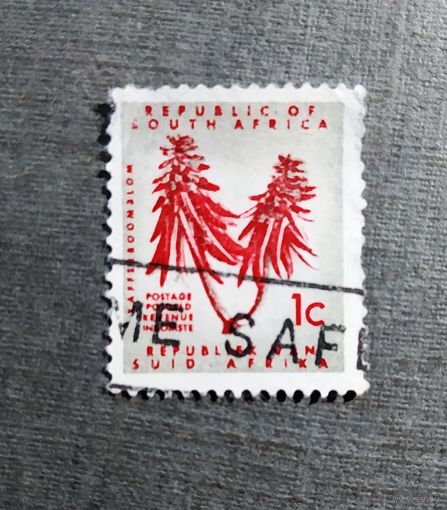 Марка Южная Африка 1961 год Цветы