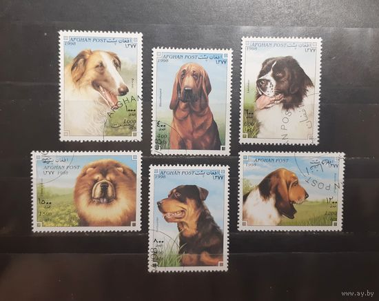Афганистан. 1998 год. Фауна. Собаки (789)