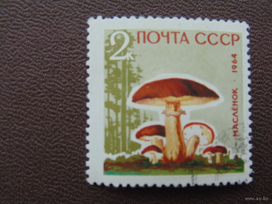 СССР 1964 г. Маслёнок.