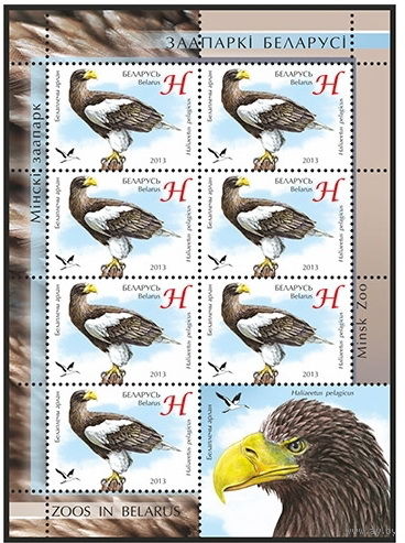 2013г Беларусь MNH  "Белоплечий орлан"