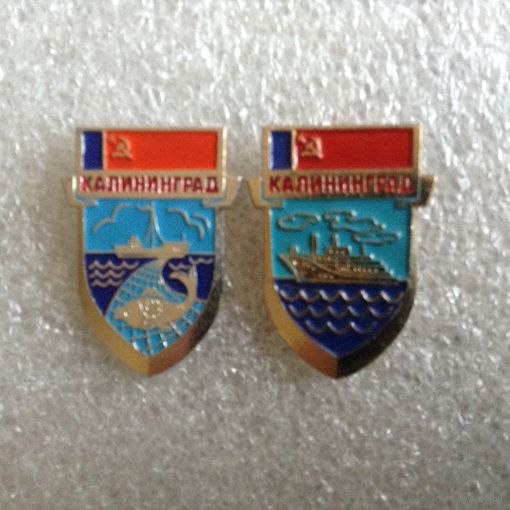 Калининград