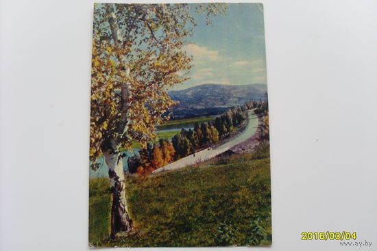 Открытка фото Л Бородулино 1958 год