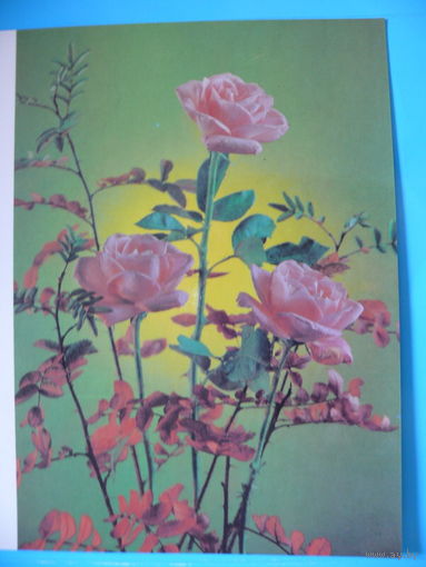 Костенко Г.(фото), Поздравляю! 1990, двойная, чистая, большой формат.