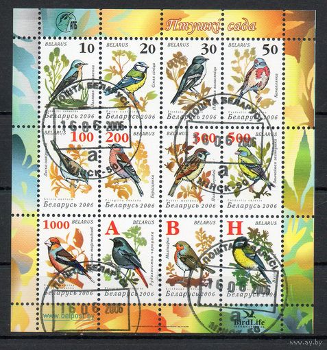 Девятый стандартный выпуск "Птицы сада" Беларусь 2006 год (648-659) 1 малый лист