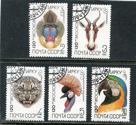 СССР 1984.. Московский зоопарк