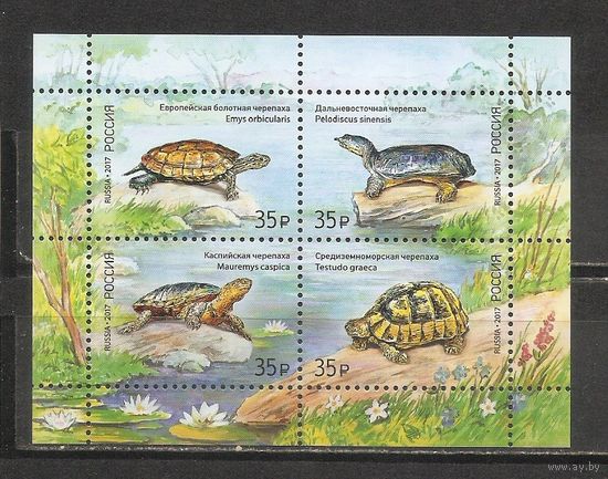 ФФ1 Россия 2017 Черепахи