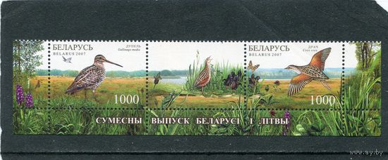 Беларусь 2007. Природа заповедника
