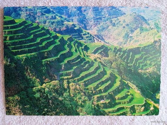 Филиппины. Рисовые поля Банауэ