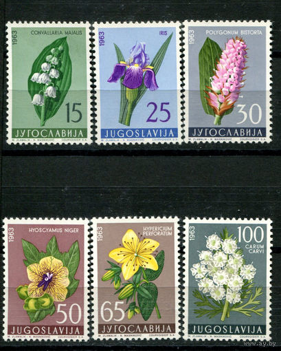 Югославия - 1963г. - Цветы - полная серия, MNH [Mi 1034-1039] - 6 марок