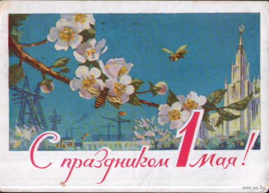 Подписанная открытка 1962г. "1 Мая. Пчелы и яблоневая ветка" худ. Н. Чертенков