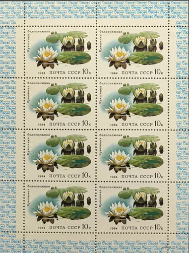СССР. 1984. Водные растения. Малый лист.