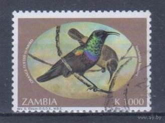 [1587] Замбия 1994. Фауна.Птицы.Нектарницы. Высокий номинал.Гашеная марка. Кат.гаш.4,5 е.