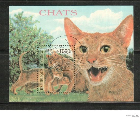 Конго-1999,(Мих.Бл.139) гаш., Фауна, Кошки