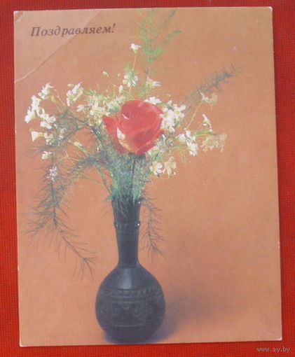 Поздравляем! Чистая. Мини. 1988 года. Фото Савалова.