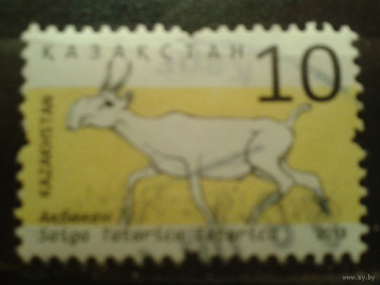 Казахстан 2013 Сайга