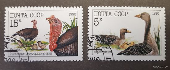 Марки. СССР. 1990 год. Фауна. Домашние птицы (неполная серия, 2 марки из набора)