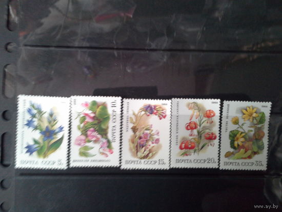 СССР 1988 серия флора