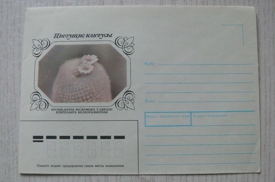 1983, 1990, ХНМК, Горинов К., Епителанта, из серии "Цветущие кактусы".