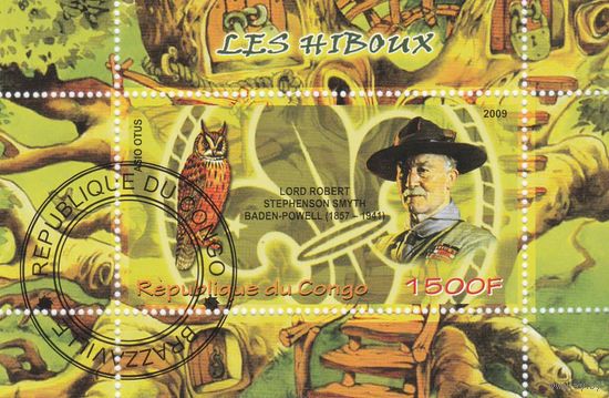 Конго *Сова* 2009г