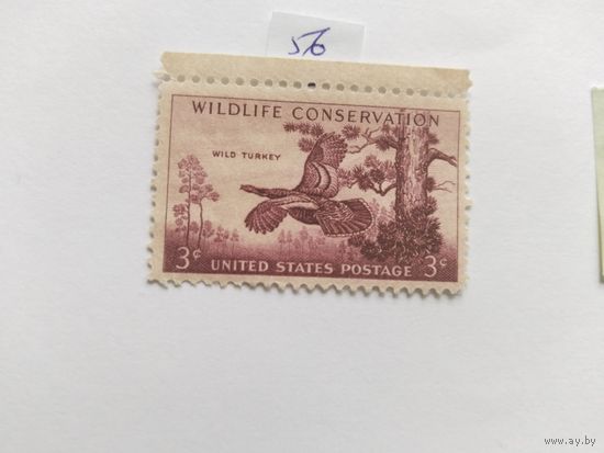США  1956