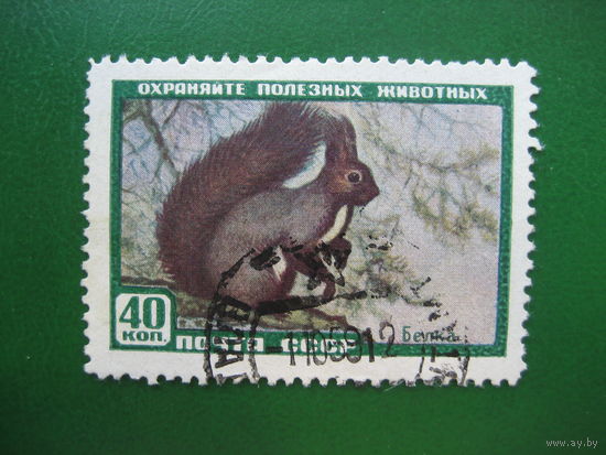СССР 1959 Белка
