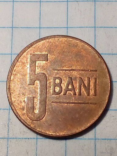 5 бани Румыния 2020 год