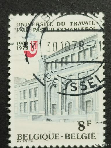 Бельгия 1978. Университет