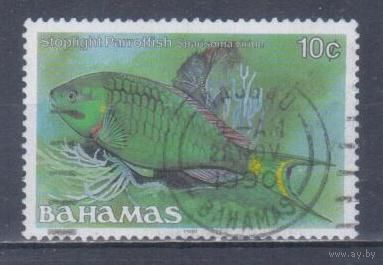 [2130] Багамы 1986. Фауна.Рыбы. Гашеная марка.