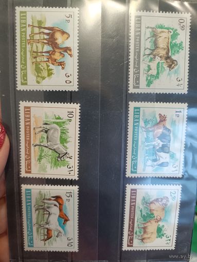 Лот марок Ливан, цена за лот.