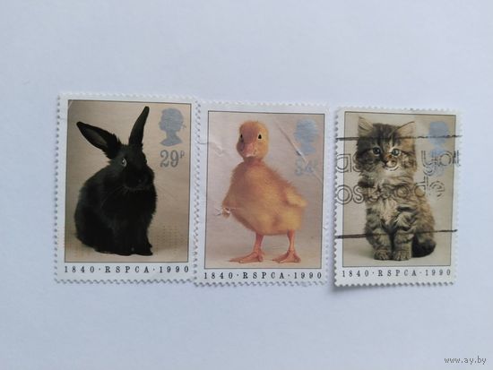 Великобритания  1990 3м