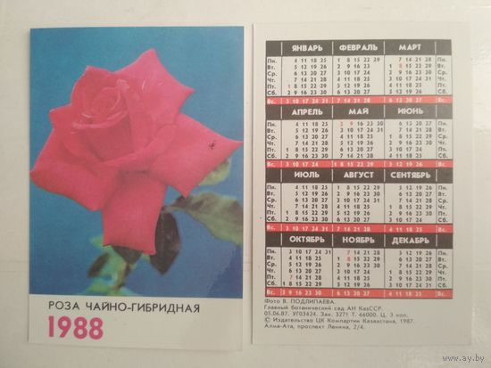 Карманный календарик. Роза чайно-гибридная . 1988 год
