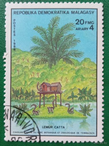 Мадагаскар 1988. Lemur Catta