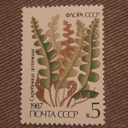 СССР 1987. Скребница аптечная. Марка из серии
