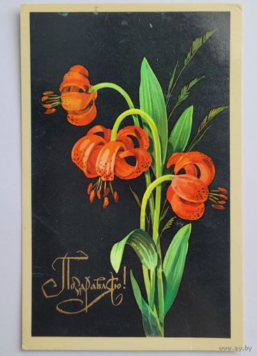 Открытка "Поздравляю!", 1974 г. А. Куртенко.