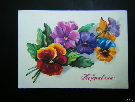 Открытка 1980г. из СССР.