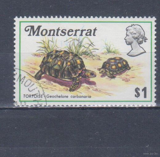 [1638] Монтсеррат 1972. Фауна.Черепаха. Концовка серии. Гашеная марка. Кат.гаш.4,8 е.