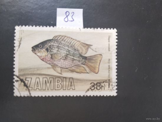 Замбия 1983 рыба