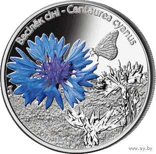 Торги . Серебро . Васілёк сіні . Василёк синий . Сornflower Blue . 10 рублей . 2012 год . Символ РБ . Цветы . Растения . Редкость .