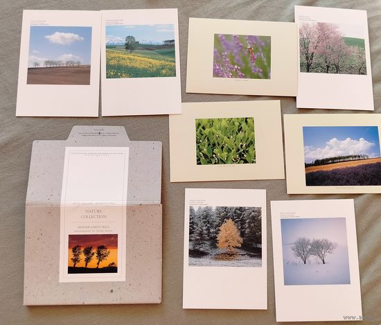 Почтовые открытки одним лотом Post Card Nature Collection 1990 Shinzo Maeda Takushinkan Japan