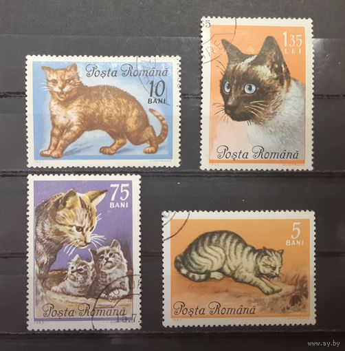 Румыния. 1965 год. Фауна. Кошки (4 марки из серии)