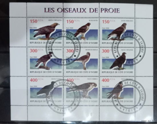 Код дивуар 2009  Птицы фауна