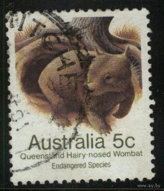 Австралия - 1981 [Mi. 754] Гашеная (AU19)