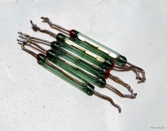 Герконы (цена за шт)