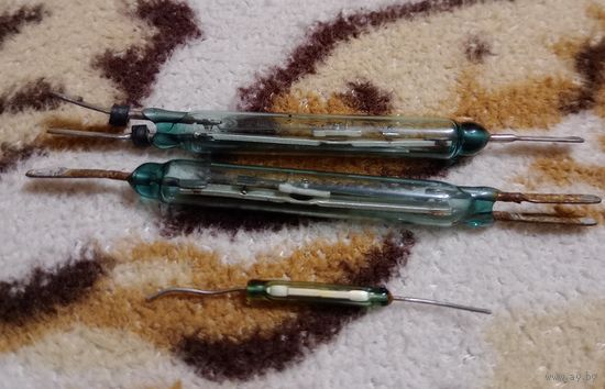 Герконы разные (цена за шт)