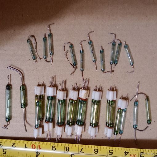 Герконы разные (цена за шт)